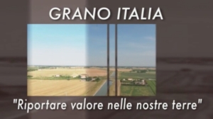 20170719-grano-italia