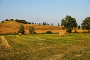 Agricoltura, segnali di svolta da Bergamo
