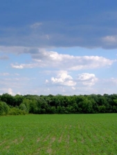 agricoltura-generica-moeguefile-bosela