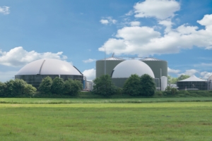 Le tendenze internazionali del mercato del biogas