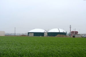 Prodotti chimici "speciali" per impianti di biogas: il nichel
