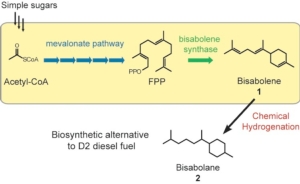 I biocarburanti a base di terpeni