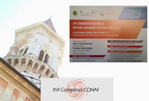 conaf-congresso-xvi-perugia-by-matteo-giusti-agronotizie-jpg