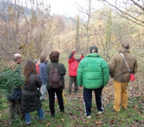 corso-potatura-vivai-belfiore-novembre-2012