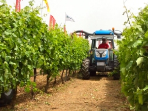 Innovazione in agricoltura, in primo piano in Puglia con l'AgroInnovation Tour di Image Line