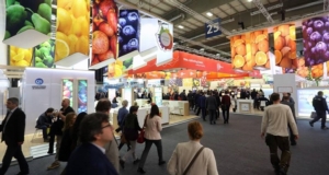 Fruit Logistica 2017, l'ortofrutta italiana protagonista a Berlino