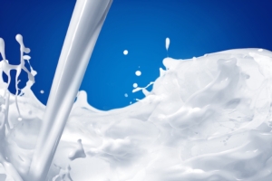 Latte, quasi esauriti gli incentivi Ue per i tagli alla produzione
