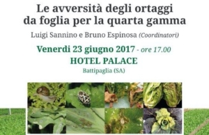 libro-avversita-ortaggi-foglia-quarta-gamma