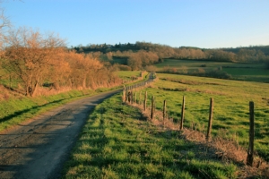 strada-di-campagna-viabilita-rurale-stradone-by-capude1957-fotolia-750