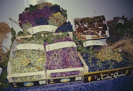 Nella foto confezioni di uva da tavola con varietà locali sarde