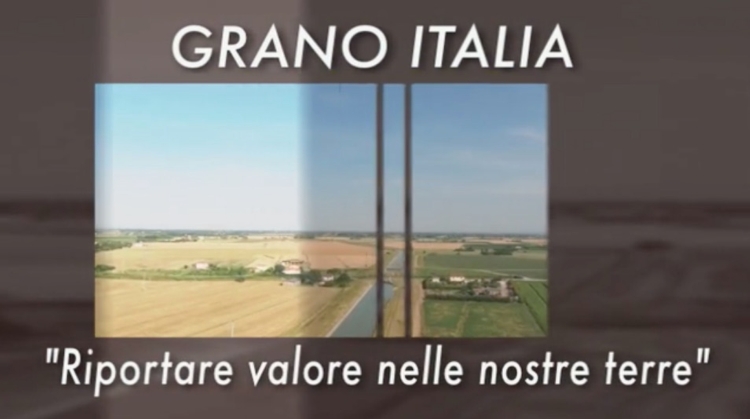 La trasmissione 'Grano Italia. Riportare valore nelle nostre terre' è stata organizzata da Agrilinea