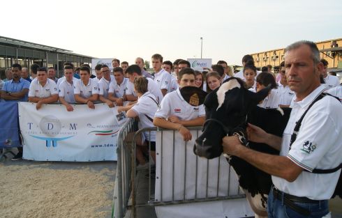 L’ingresso sul ring degli animali. Alla gara hanno partecipato i Dairy Club di Piemonte, Brescia-Bergamo, Mantova, Veneto, Emilia Romagna e Puglia