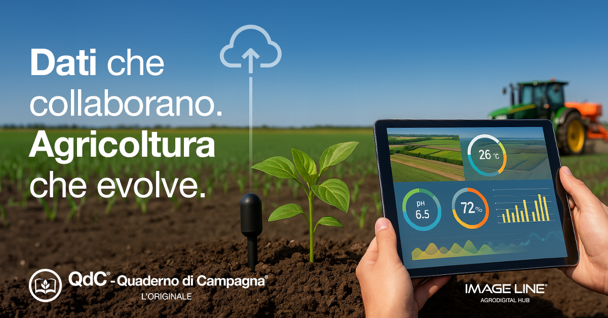 Interoperabilità in agricoltura: stato dell’arte e prospettive future