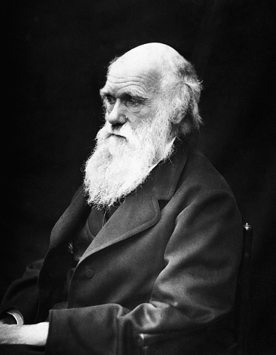 Charles Darwin é famoso per aver formulato la teoria dell'evoluzione