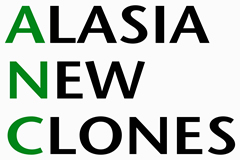 Alasia New Clones