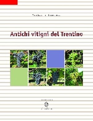 La copertina della pubblicazione 'Antichi vitigni del Trentino'