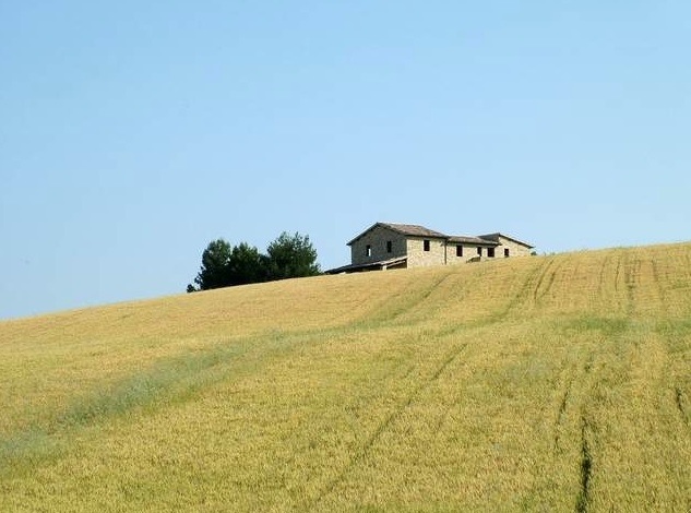 Agrinsieme: un’azienda agricola italiana per assolvere a tutti gli adempimenti burocratici spende 7.200 euro l’anno