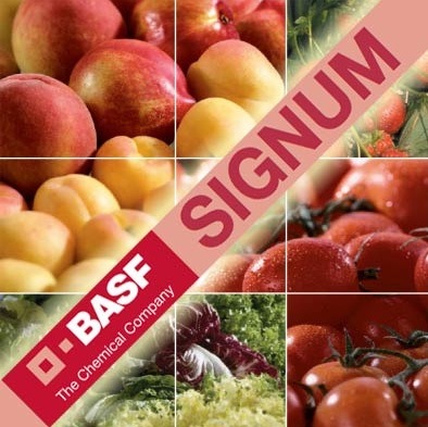 Nuove e importanti estensioni di etichetta per Signum di BASF