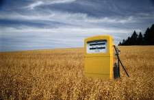 Il 13  per cento dei campi coltivati destinato ai biocarburanti