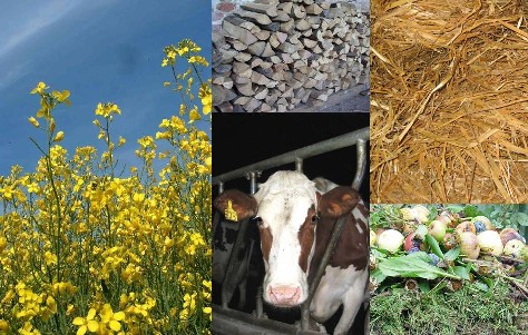 Vegetalia, enti e aziende a confronto<br /> su biomasse e agroenergie