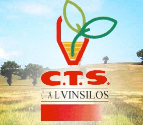 CTS-Calvinsilos-logo.jpg
