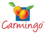 Il logo dell'albicocca Carmingo