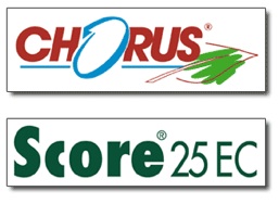 Chorus e Score 25 EC