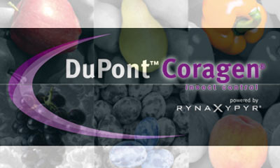 Coragen® ora protegge anche vite, mais, drupacee, patata, agrumi e frutta a guscio