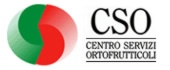 Cso - Centro servizi ortofrutticoli