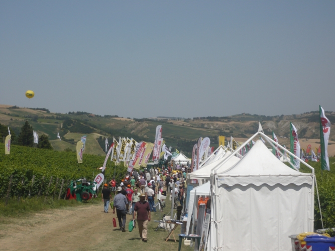 La Romagna del vino protagonista a Enovitis