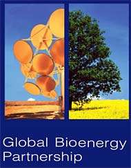 Operativo il Segretariato della Partnership globale sulla bioenergia