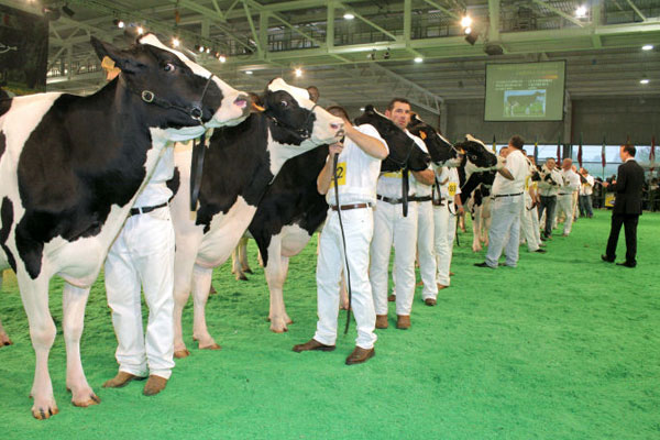 Un momento della scorsa edizione della Fiera internazionale del bovino da latte