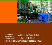 Valorizzazione energetica delle biomasse forestali