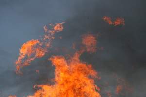 Incendi, in Sardegna voucher per aiutare gli allevatori danneggiati