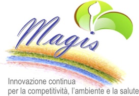 Magis-logoBig-centro-piattaforma-gestionale-articolo