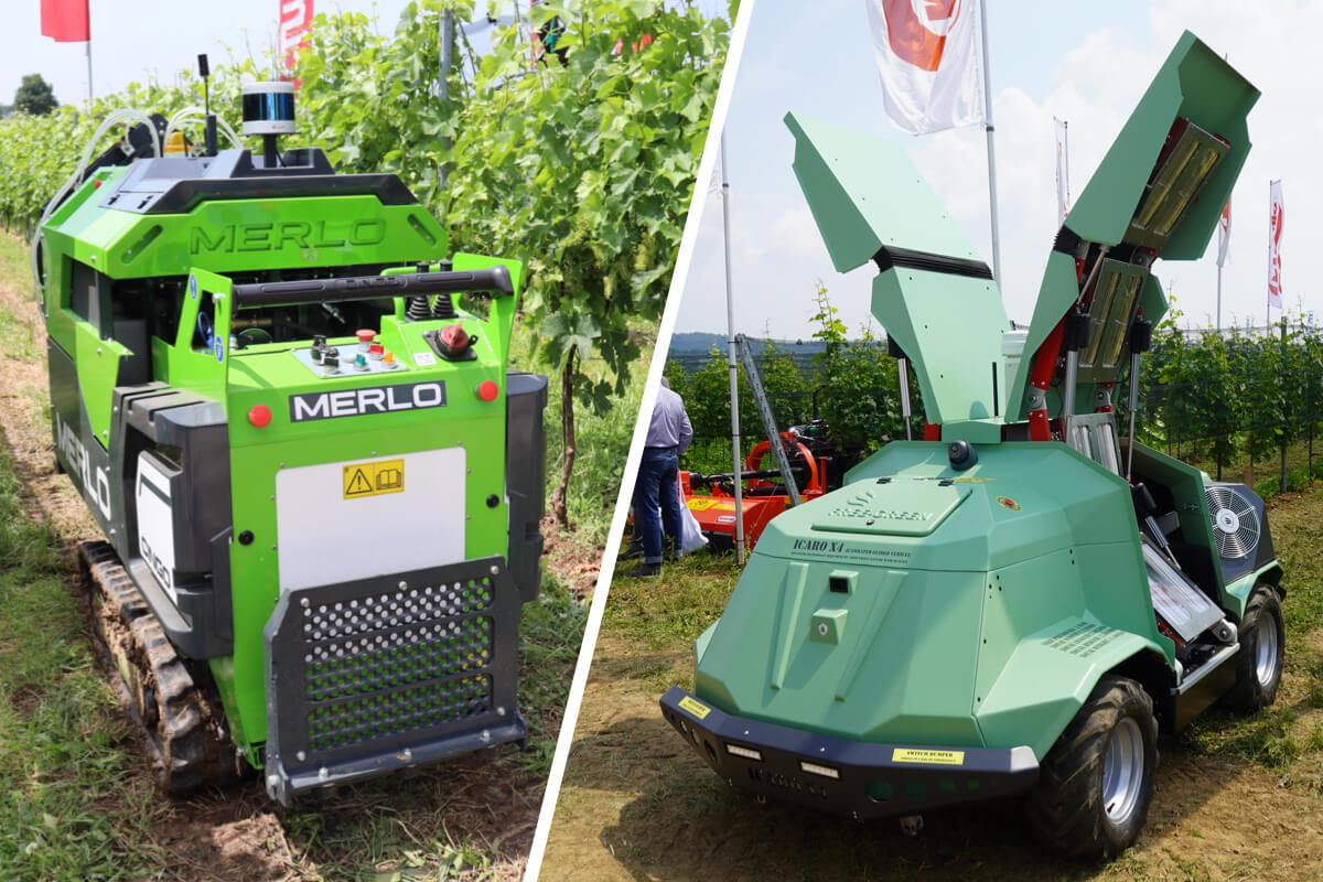I robot in vigneto semplificano le operazioni dei viticoltori aumentandone l'efficienza
