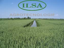 Al convegno di Ilsa, proposte per uno sviluppo sostenibile
