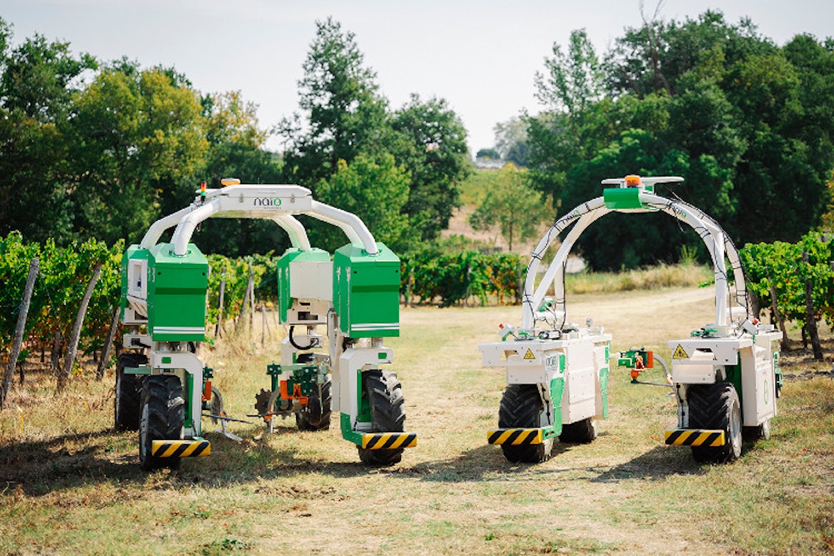 Robot agricoli Ted e Jo del costruttore francese Naïo Technologies per il diserbo