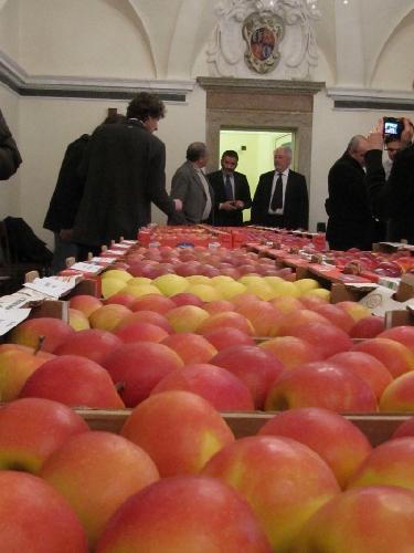 Le nuove varietà di mele presentate all'Istituto di San Michele all'Adige