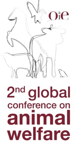 Oie: conferenza mondiale sul benessere animale