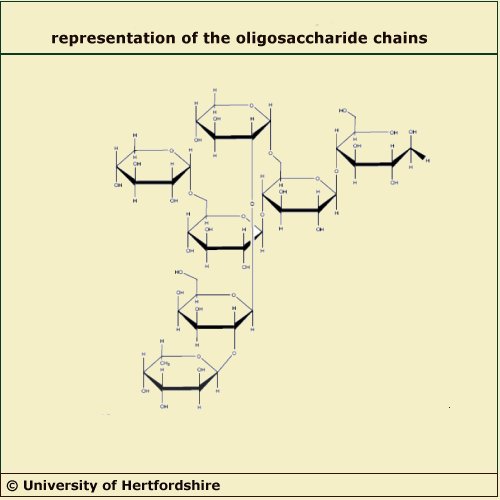 Formula di struttura di oligosaccaridi