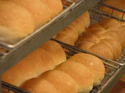 Prezzo del grano: il divario col pane a +750% 