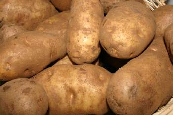 Produzione di patate nei Paesi della Nepg: si prevede un calo del 14,5%