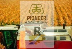 Riconoscimento in Eima per RX Grains di Pioneer