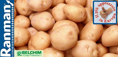 Ranman, garanzia di qualità sulla patata