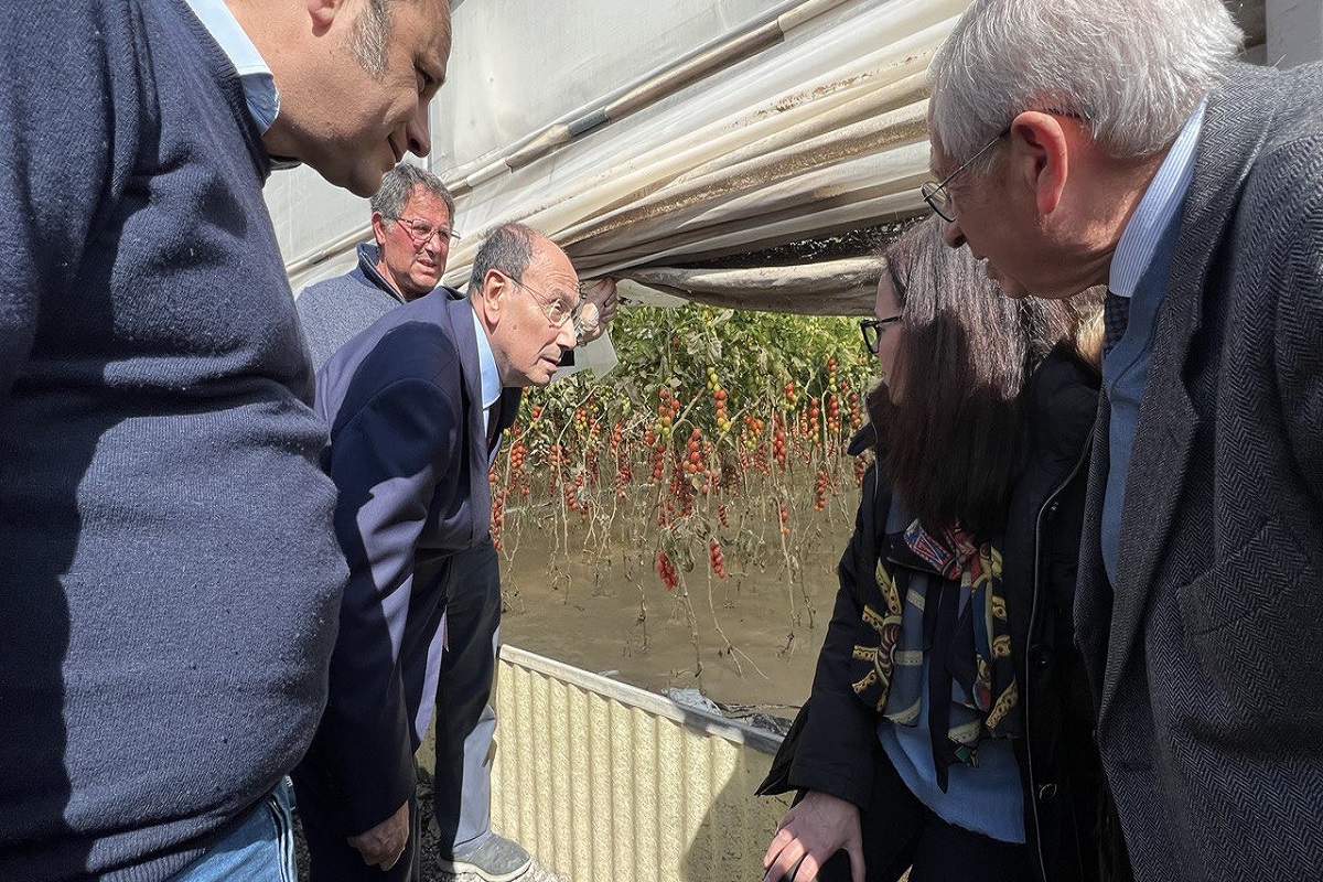 Schifani in visita nel Ragusano: nella foto vengono mostrati i danni alle serre di pomodori
