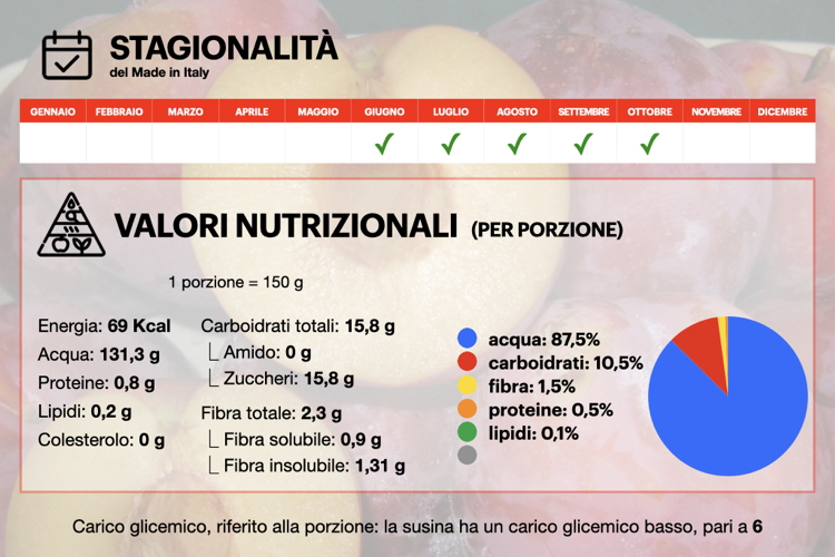Susina-Susino-Prugna-Frutticola-infografica-stagionalita-valori-nutrizionali-tellyfood-agronotizie-750x500.jpeg