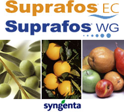 Suprafos EC e WG, due nuovi insetticidi di Syngenta
