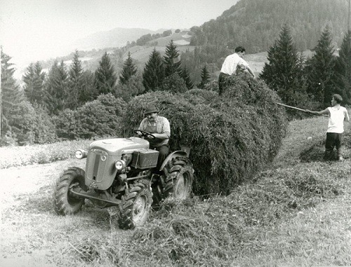 Il trattore Same Puledro del 1964