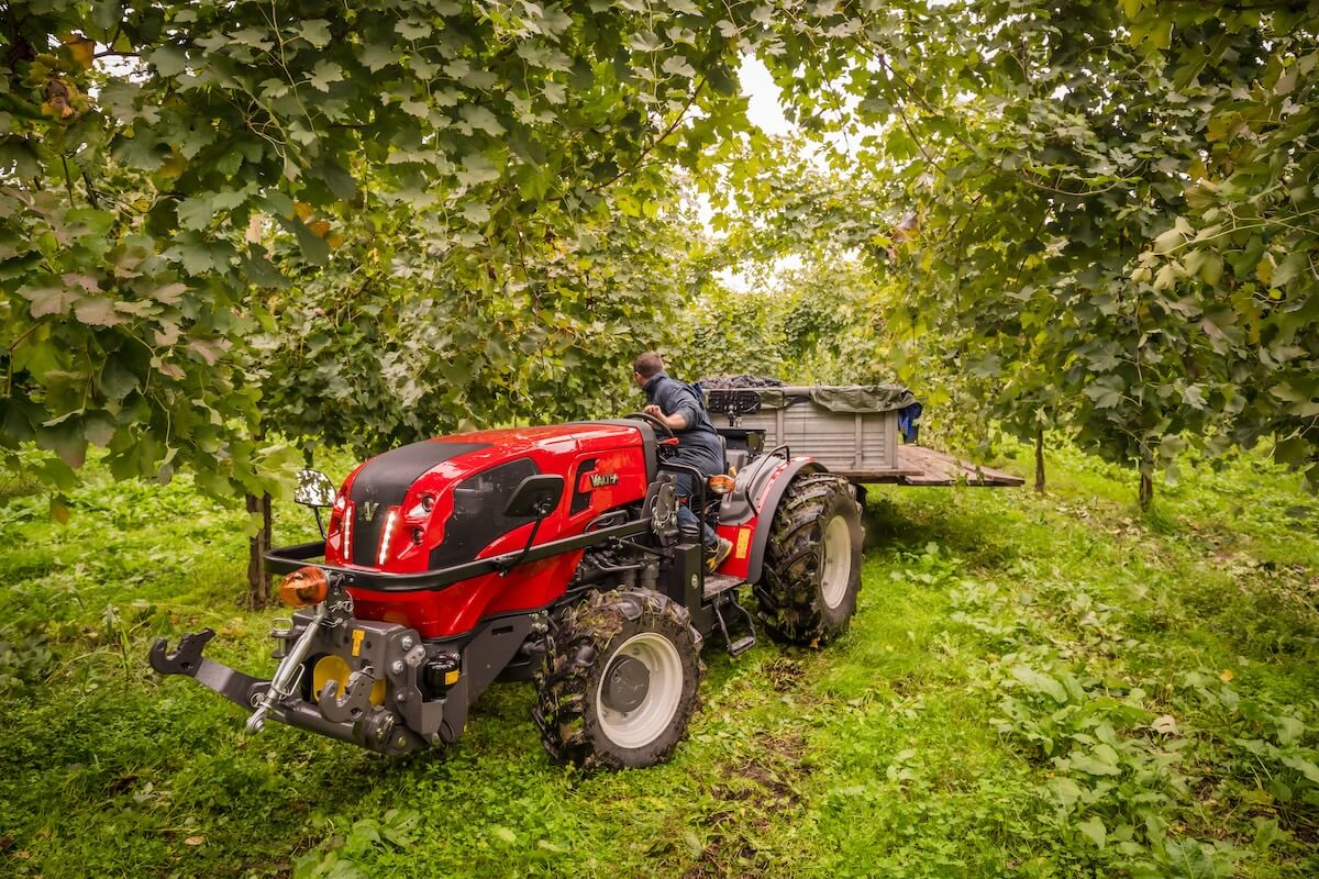 Trattore specializzato Valtra F75 impegnato in operazioni di raccolta dell'uva